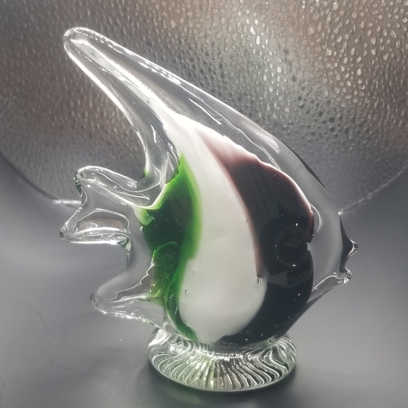 Glass fish - Picture 10 of 16